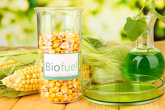 Paradise biofuel availability
